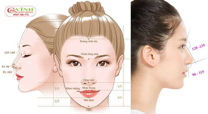 Top 5 dáng mũi đẹp tự nhiên phù hợp với từng khuôn mặt Bác sĩ sẽ dựa vào tỷ lệ khuôn mặt để tư vấn dáng mũi phù hợp
