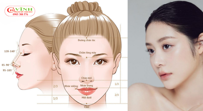 Dáng mũi được xác định dựa trên tổng thể tỷ lệ khuôn mặt